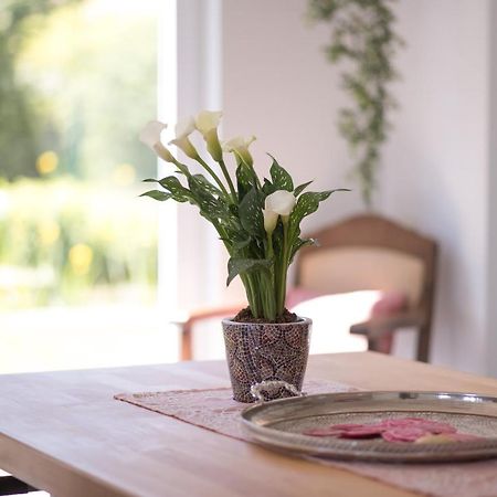 Ferienwohnung Schwalbennest Weinsheim  Экстерьер фото