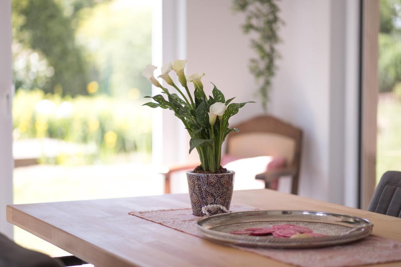 Ferienwohnung Schwalbennest Weinsheim  Экстерьер фото